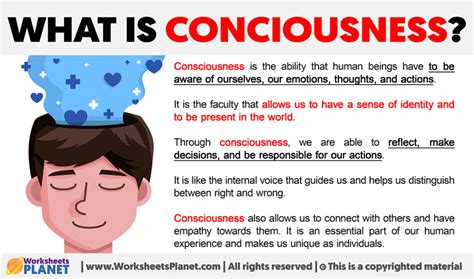 Consciousness Meaning .